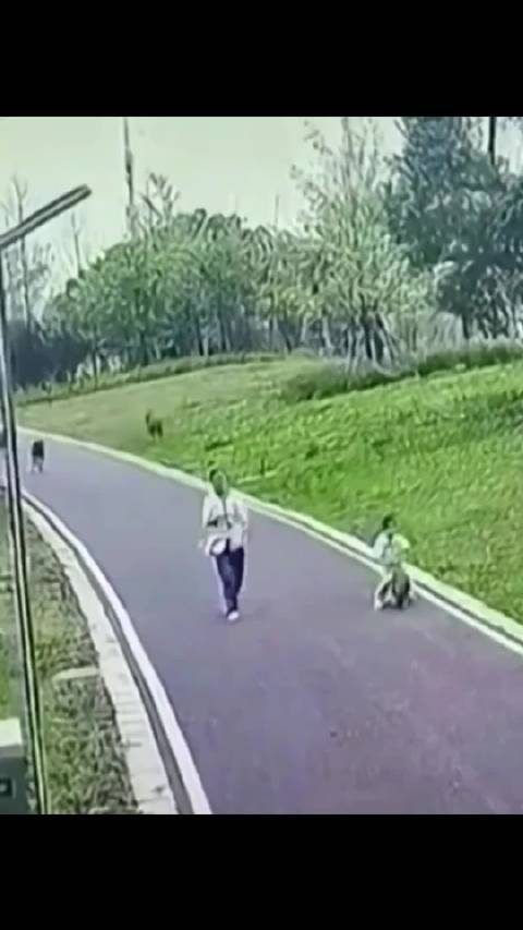 孙颖莎王楚钦赛场对决引热议技术细节成焦点